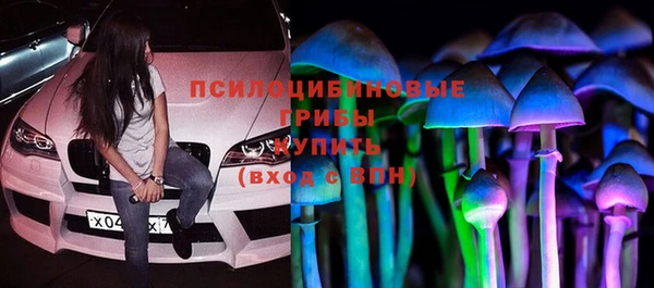 дмт Аркадак