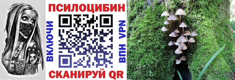 Псилоцибиновые грибы ЛСД  цена   Родники 